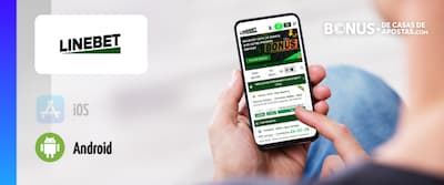 Linebet apk app