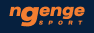 ngenge logo
